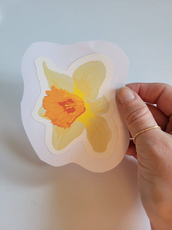 Daffodil Sticker